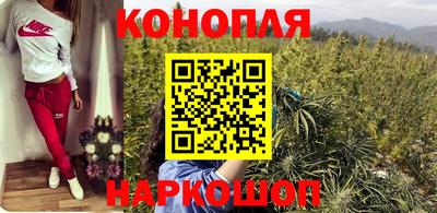 прущая мука Гатчина