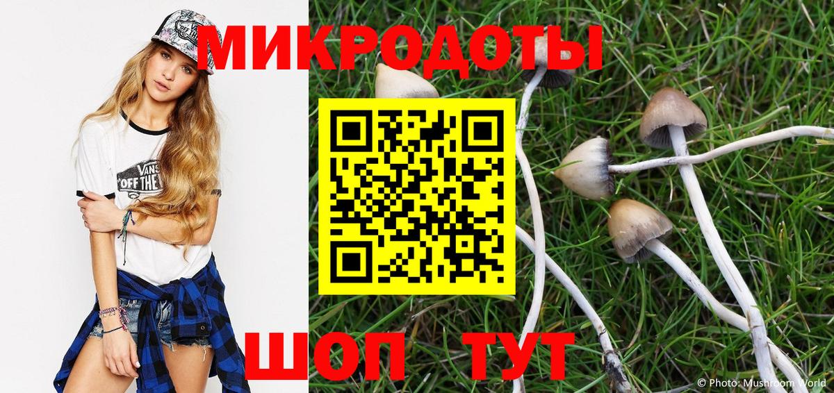 купить закладку  Набережные Челны  Псилоцибиновые грибы Psilocybe  Псилоцибиновые грибы GOLDEN TEACHER 