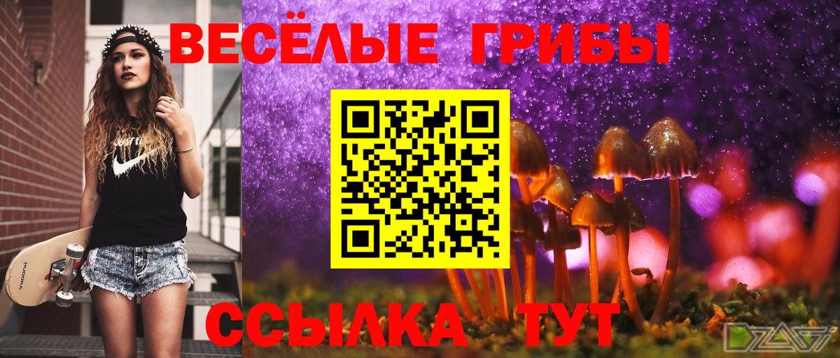 Набережные Челны  Псилоцибиновые грибы прущие грибы  Вход с VPN 