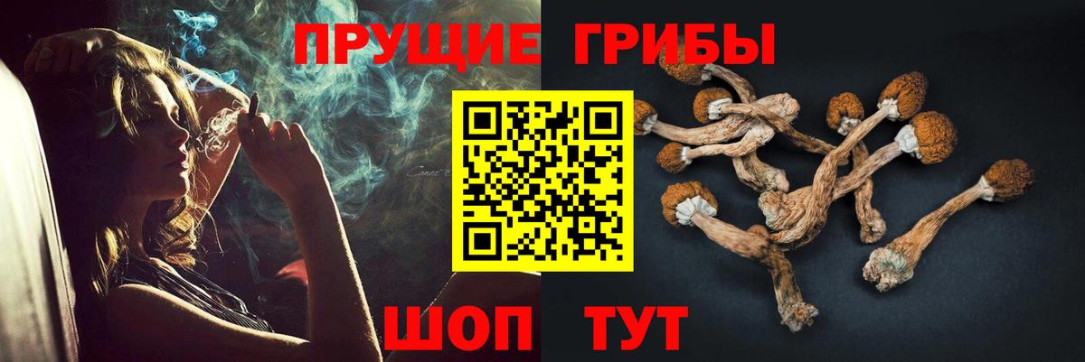 Галлюциногенные грибы GOLDEN TEACHER Набережные Челны